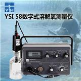 美国维赛YSI 58数字式溶解氧测量仪 溶解氧仪